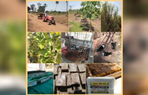 SWAYAMPURNA GOA: UDAY PRABHUDESAI’S ‘JAIDATTA AGRO-FARM’ SETS AN EXAMPLE