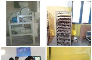 AGRO-INSPIRATION FROM UTTARAKHAND: MILLET REVOLUTION CHANGES THE FORTUNES OF RURAL FARMERS