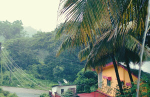 एक पावशी याद…