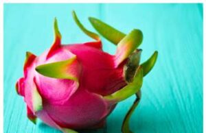 MAHARASHTRA ‘DRAGON FRUIT’ EXPORTED TO DUBAI