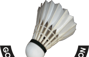 GOA STATE MASTERS RANKING BADMINTON TOURNAMENT FROM DEC 18-20 IN PANAJI