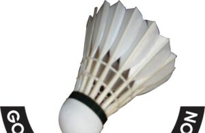 GOA BADMINTON: RASIK MEMORIAL STATE RANKING TOURNAMENT FROM SEPT 23