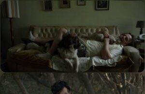 7 ARGENTINIAN FILMS TO BE PRESENTED AT IFFI 53