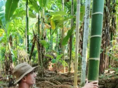 INNOVATIVE GREEN REVOLUTIONARY SANJAY ANANT PATIL, AN INSPIRATION TO SMALL FARMERS IN GOA