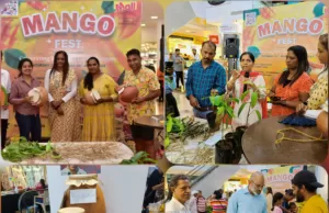 GOENCHO FESTAKAR: MANGO FESTIVAL HELD AT CACULO MALL