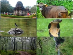 GOA MUST LOOK AFTER ITS BIODIVERSITY TO PROMOTE ECO-TOURISM