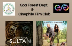 WILDLIFE CELEBRATIONS FILM SCREENING AT MAQUINEZ PALACE ON WEDNESDAY