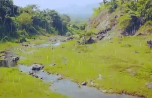 ‘CATCH THE RAIN, WHERE IT FALLS WHEN IT FALLS’