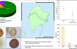 HIGH RAINFALL AFFORDED RESILIENCE TO TROPICAL RAINFOREST AROUND 50 MILLION YEARS AGO, SAYS A STUDY