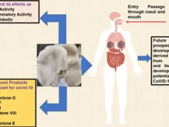 MUSHROOM-DERIVED BIOACTIVE COMPOUNDS HAVE POTENTIAL TO COMBAT COVID-19 & OTHER VIRAL INFECTIONS: STUDY