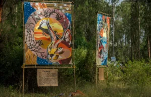 ECHOES OF EARTH: INDIA’S GREENEST FESTIVAL SET TO DEBUT IN GOA