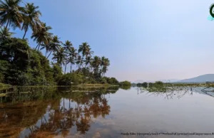 WETLANDS OF GOA BROCHURE RELEASED ON WORLD WETLANDS DAY 2024