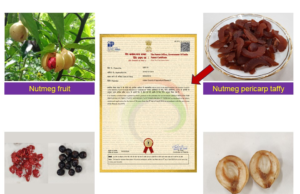 NUTMEG TAFFY: ICAR-CCARI GOA’S INVENTION GRANTED PATENT