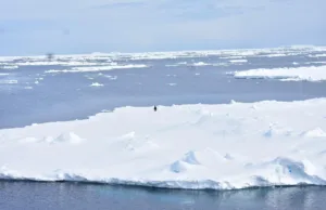 NEW N.C.P.O.R STUDY ATTEMPTS TO RESOLVE MYSTERY OF EXTREMELY LOW SEA ICE COVER IN ANTARCTIC
