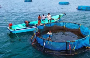 SIX AQUACULTURE FARMS ESTABLISHED IN GOA OVER LAST 3 YEARS