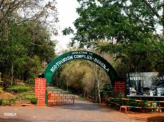 BONDLA WILDLIFE SANCTUARY OFFERS OVERNIGHT ADVENTURE WITH FORESTERS