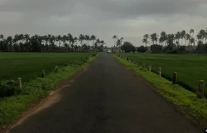 PREVENTION OF AGRICULTURAL LAND FROM BEING REPURPOSED FOR NON-AGRICULTURAL USES, NOTIFYING BIODIVERSITY HERITAGE SITES AMONG MEASURES TO PROTECT GOA’S BIODIVERSITY & LAND RESOURCES