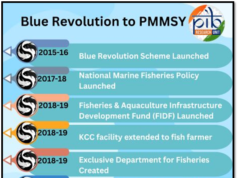 BLUE REVOLUTION: 4 YEARS OF PRADHAN MANTRI MATSYA SAMPADA YOJANA