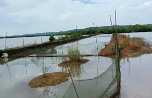 ICAR-CCARI GOA: FIELD VISIT TO MONITOR MULTI-SPECIES BRACKISHWATER FISH FARM AT CURCA