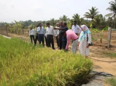 KHAZAN LANDS: ICAR-CCARI STAKEHOLDERS MEET FOCUSSES ON FARMERS ISSUES