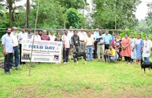FIELD DAY ON KONKAN KANYAL GOAT FARMING: INITIATIVE BY ICAR-KVK, CCARI NORTH GOA TO BRIDGE GAP BETWEEN SCIENTIFIC RESEARCH & DAILY FARMING PRACTICES