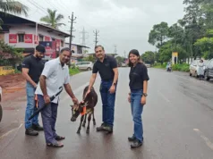 VEDANTA VAB’S: ‘SAFETY IS US’ INITIATIVE CONTRIBUTES TO ROAD SAFETY