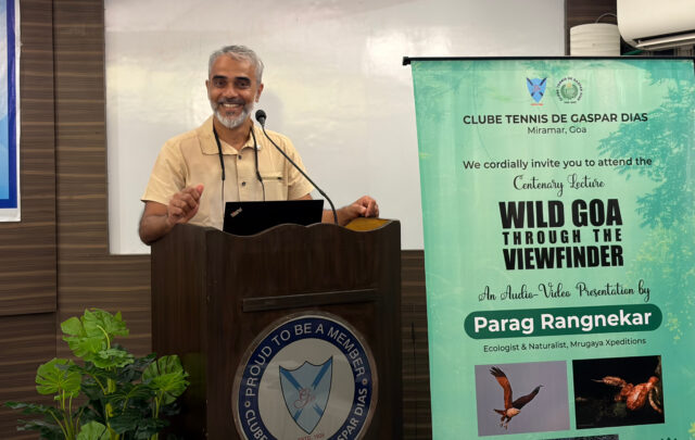 InShot_20251024_224736884