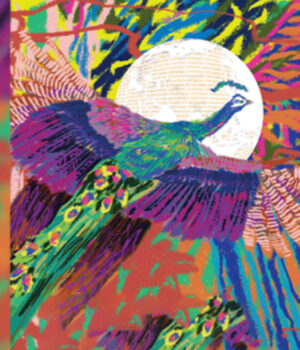 InShot_20251110_084028407