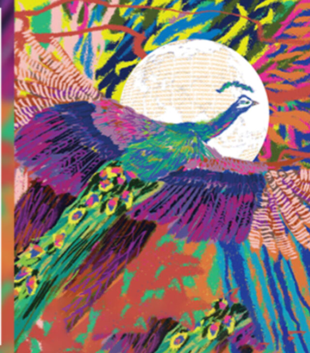 InShot_20251110_084028407