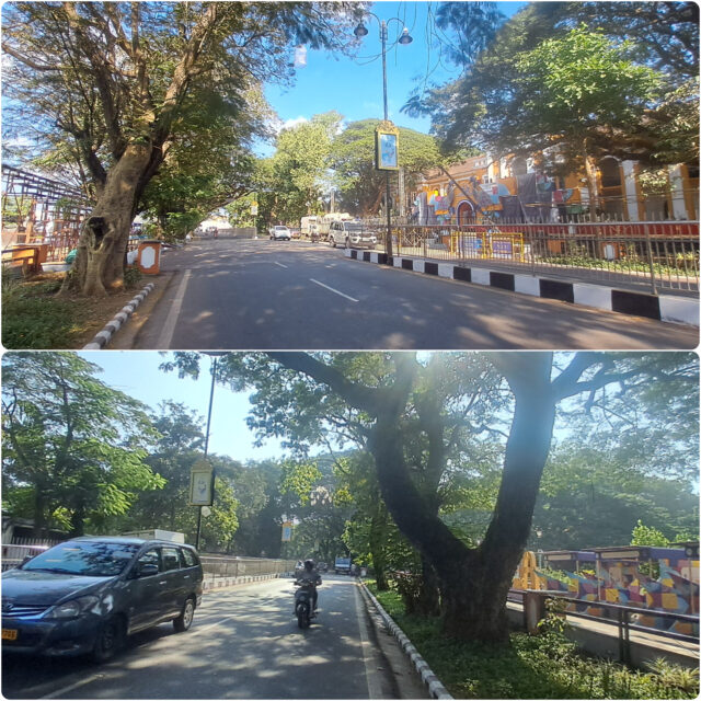 InShot_20251119_153257097