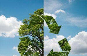 GOA NEEDS TO GET ITS ACT TOGETHER FOR ‘ZERO WASTE’ GOAL