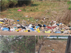 LITTERING GOANS POSE THREAT FOR ECOLOGY, CAN THE GOOD GOANS STAND UP?