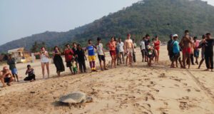 WORLD TURTLE DAY: FISHERMEN & LIFESAVERS REFLECT ON CHALLENGE OF GOA’S CHANGING COASTLINE
